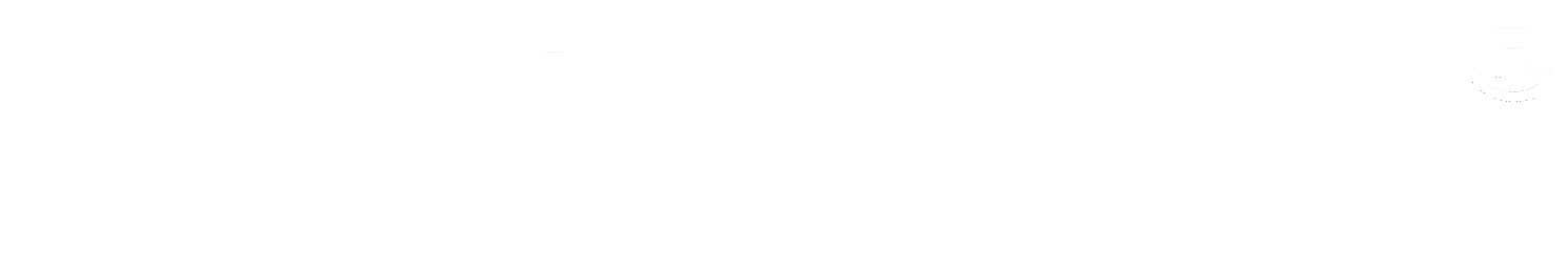 VTORIELT real estate logo